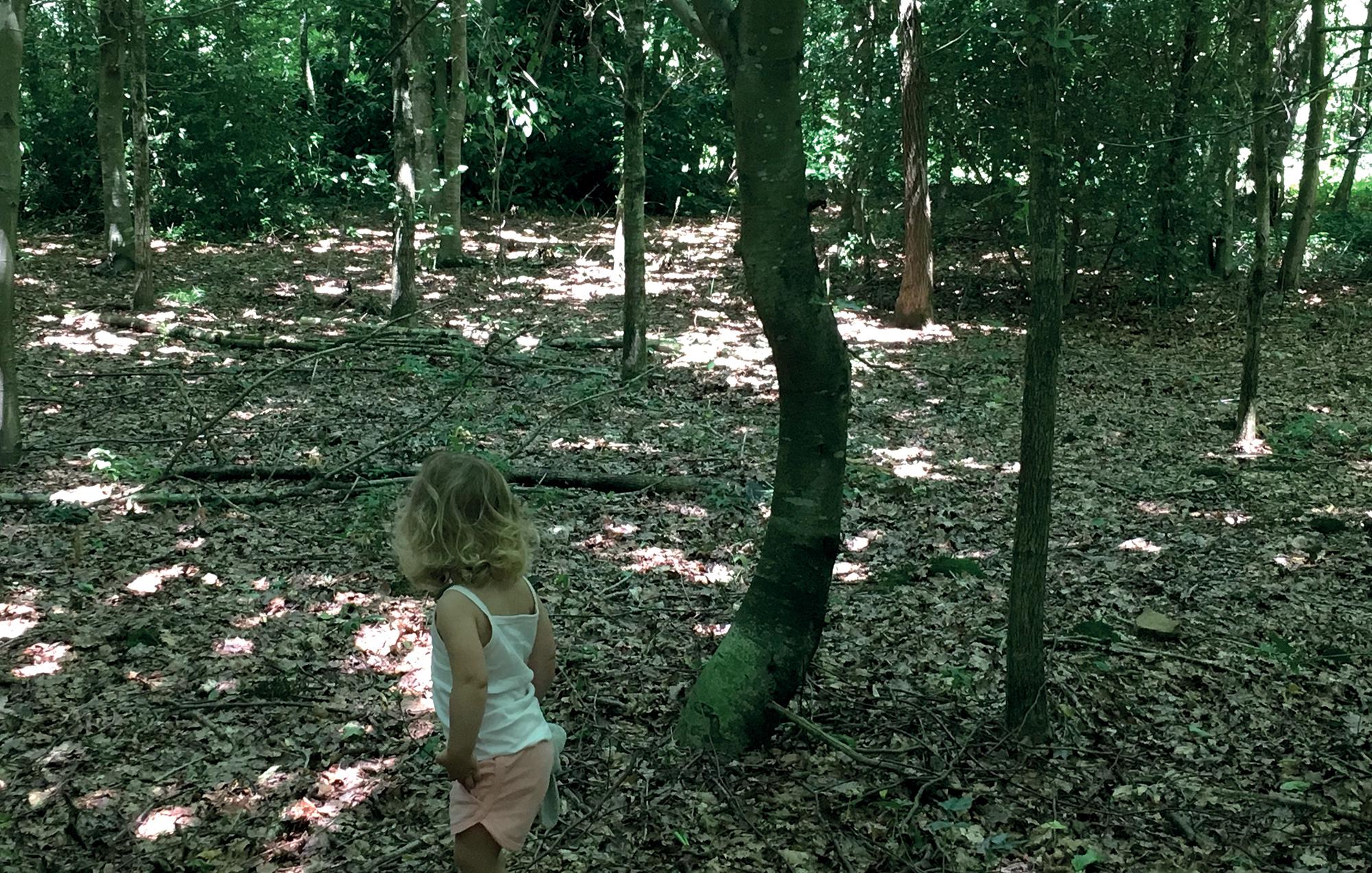 J’entends des voix