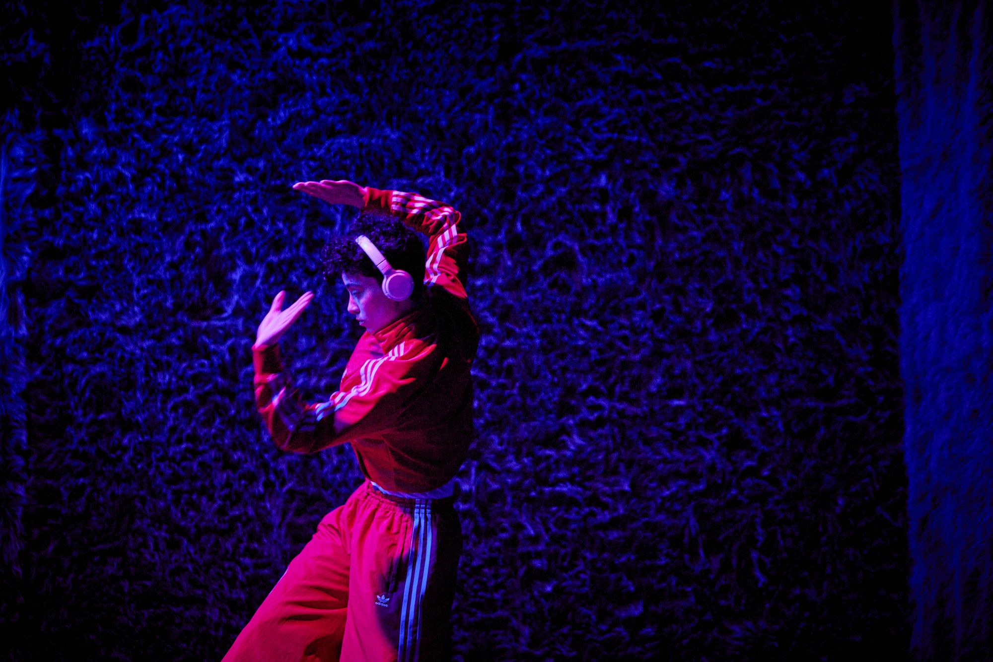 Le scarabée et l'océan