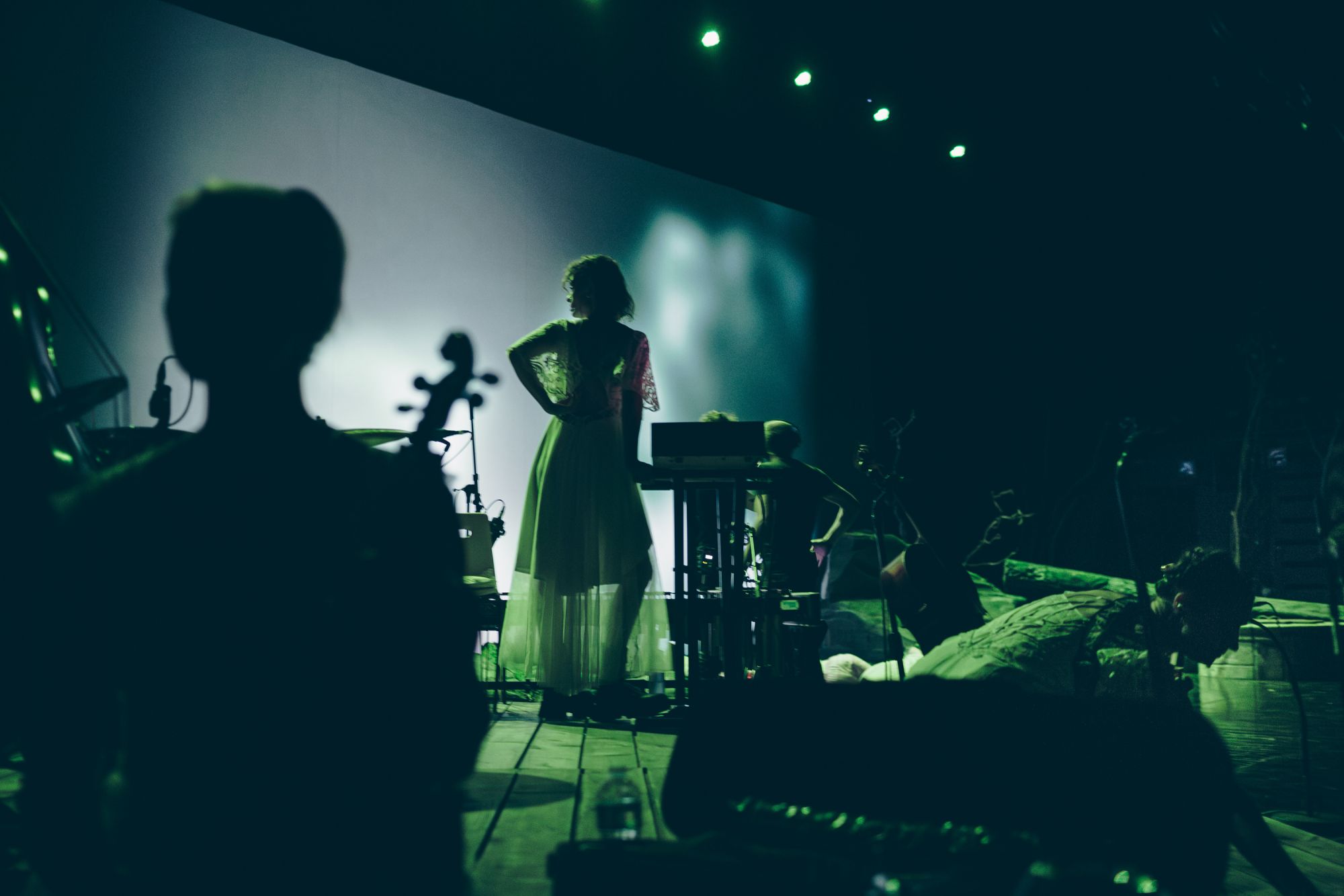 la nuit dans les forets d'ukraine