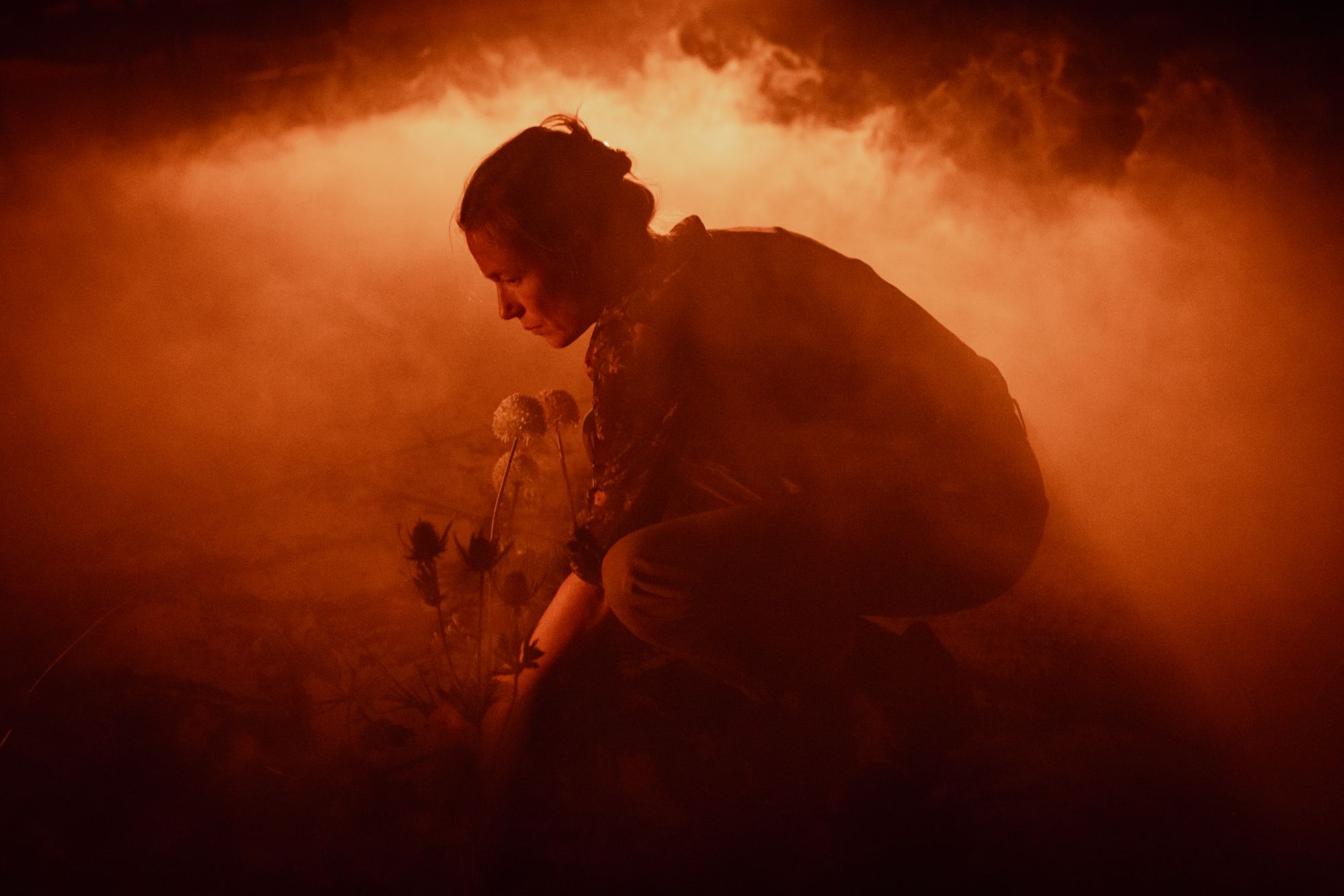 Cécile cueille des pissenlits