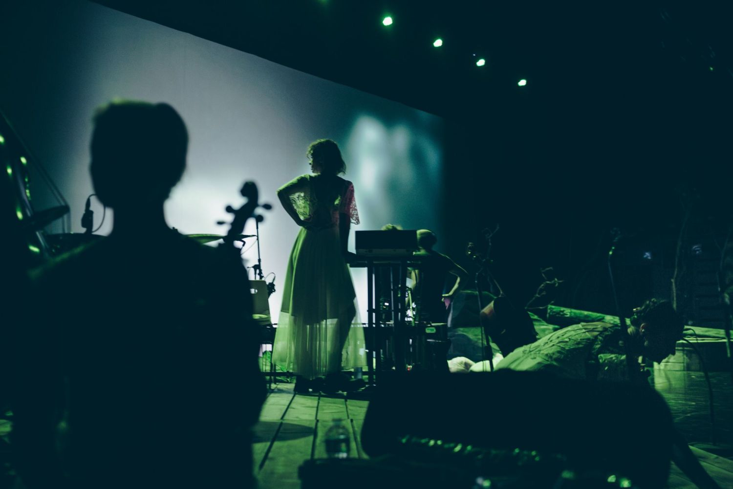 la nuit dans les forets d'ukraine